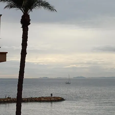 умные новые аппартаменты в торревьехе *